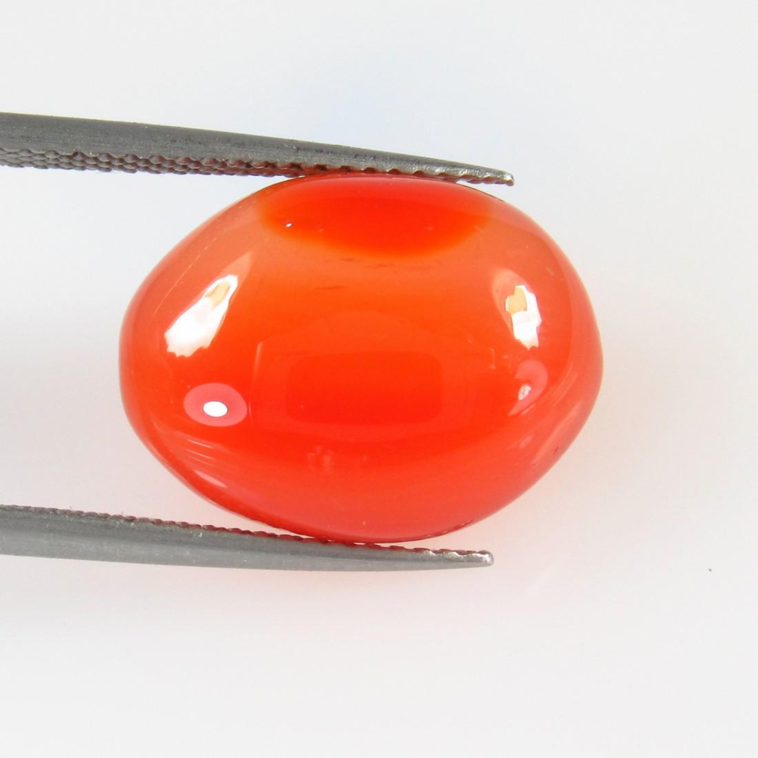 10.95 Ctw Natural Carnelian Oval Cab: No Reserve! Title: 10.95 Ctw Natural Carnelian Oval Cab Stone Clarity: Semi-Transparent Gemstones: Carnelian Size/Dimensions: 10.95 Carat Weights: 16.50 x 12.60 x 6.80 mm Additional Information: Excel