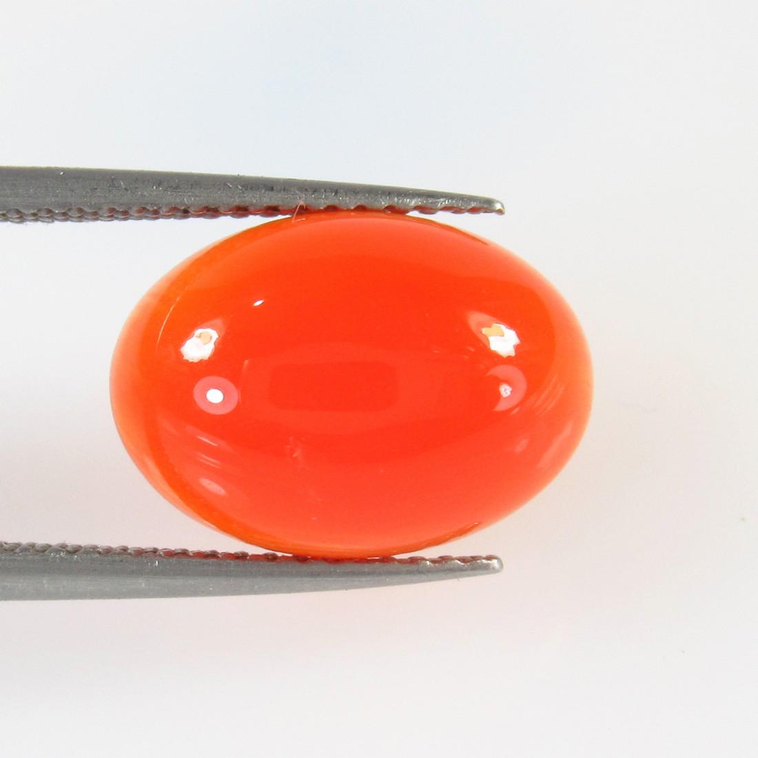 5.35 Ctw Natural Carnelian Oval Cab: No Reserve! Title: 5.35 Ctw Natural Carnelian Oval Cab Stone Clarity: Semi-Transparent Gemstones: Carnelian Size/Dimensions: 5.35 Carat Weights: 14.00 x 10.00 x 5.20 mm Additional Information: Excelle