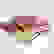 item-92579951=3