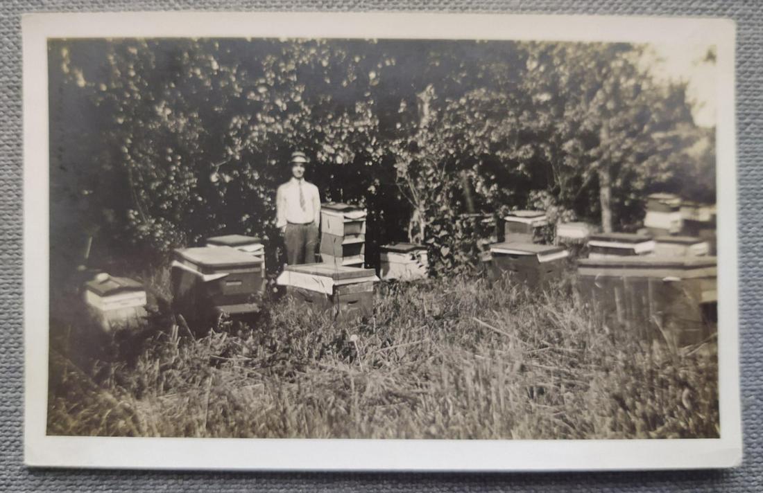 Ca. 1908 Beekeeper Photograph: Title: Ca. 1908 Beekeeper Photograph Artist: Anonymous Date/Period: 1904-1910 Materials: RPPC Silver Print Dimensions: 3 1/2" x 5 1/2" Decription: Rare Occupational Photo of a Beekeeper in his yards w