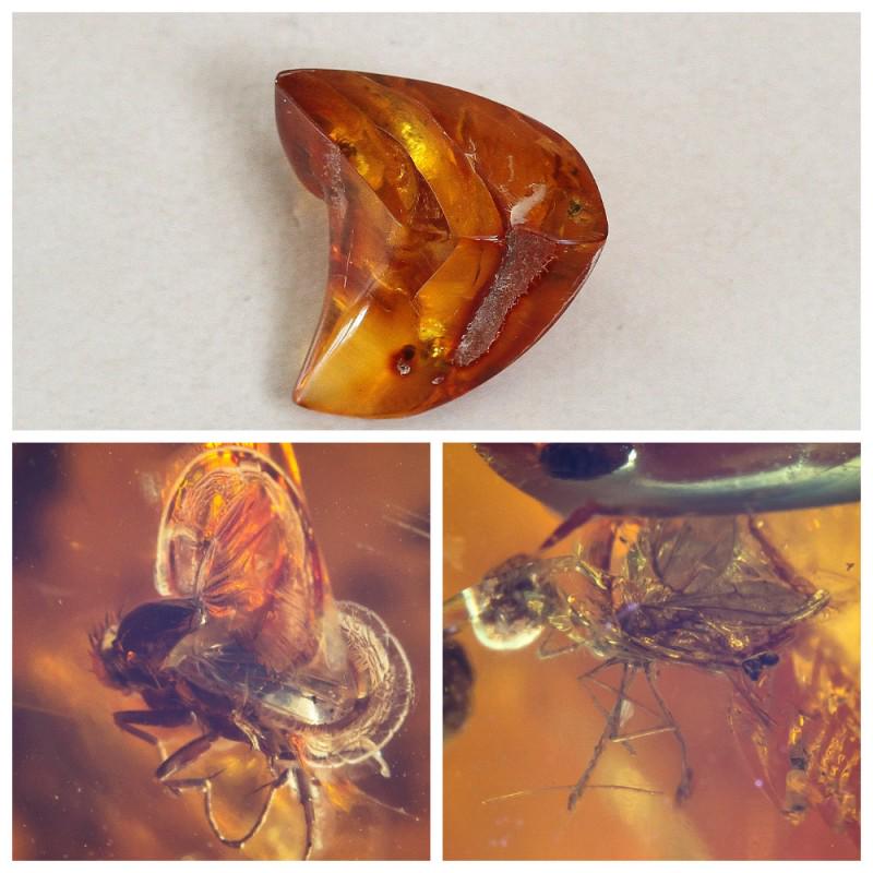 Natural Baltic amber stone inclusions ant fossil: Most likely an ant in the stone. There are several inclusions in the stone. Extra big inclusions! Weight: 6.83 gram (0.24 oz) Size: 19x30x31 mm Inclusion: ant (Formicidae), fly (Diptera) Age: 45-50 mi