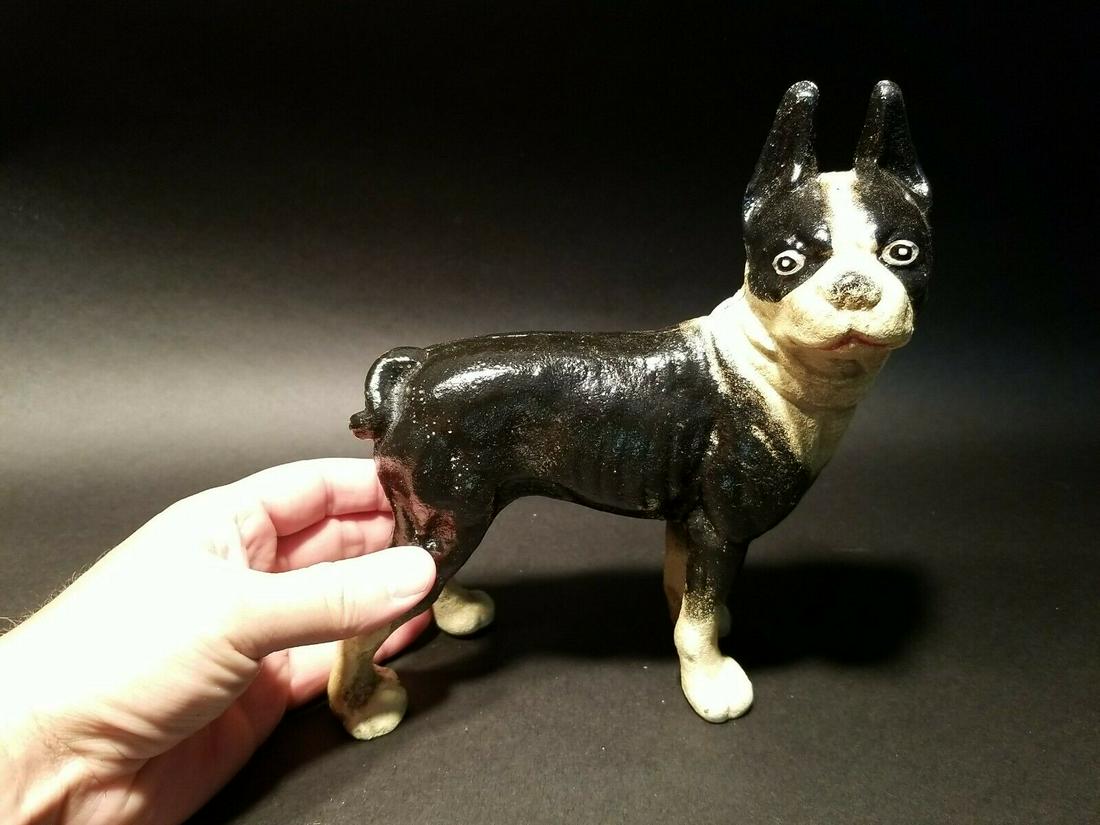 Cast Iron Boston Terrier Coin Bank Dog Statue: 8" Tall x 8" Long 3lb 12 oz Great little reproduction cast iron dog. All cast iron, hand painted, slightly distressed as shown in the images. Certainly looks old! Reserve: $25.00 Shipping: Domestic: F