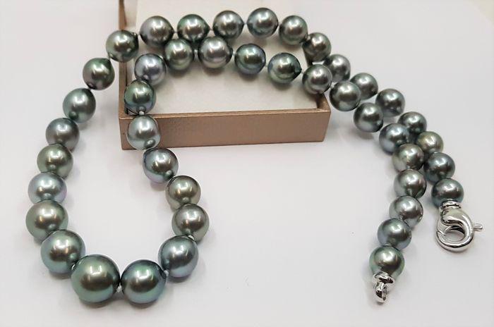 14 kt. White Gold - 8.2x10.8mm Silvery Green Tahitian: Title: 14 kt. White Gold - 8.2x10.8mm Silvery Green Tahitian Pearls - Necklace Additional Information: A beautiful pearl necklace, with silvery green Tahitian pearls that will create a chic and sophis