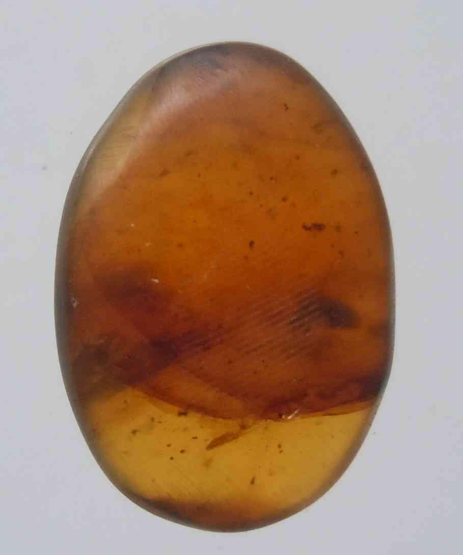 100 MILL YEARS OLD BURMITE AMBER WITH UNKNOWN INCLUSiON: Title: 100 MILL YEARS OLD BURMITE AMBER WITH UNKNOWN INCLUSiON Origin: Hukawang Valley, Kachin State, Myanmar Size: 1.6x1.1x0.4 cm/ 0.60 gram Description: dark yellow burmite amber with unknown inclus