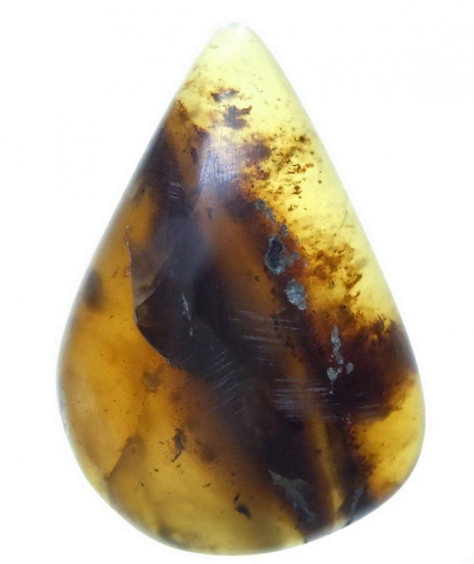 100 MILL YEARS OLD BURMITE AMBER WITH INSECT: Title: 100 MILL YEARS OLD BURMITE AMBER WITH INSECT Origin: Hukawang Valley, Kachin State, Myanmar Size: 1.5x1x1.5 cm / 0.89 gram Description: honey yellow burmite amber with insect and debris inclusi