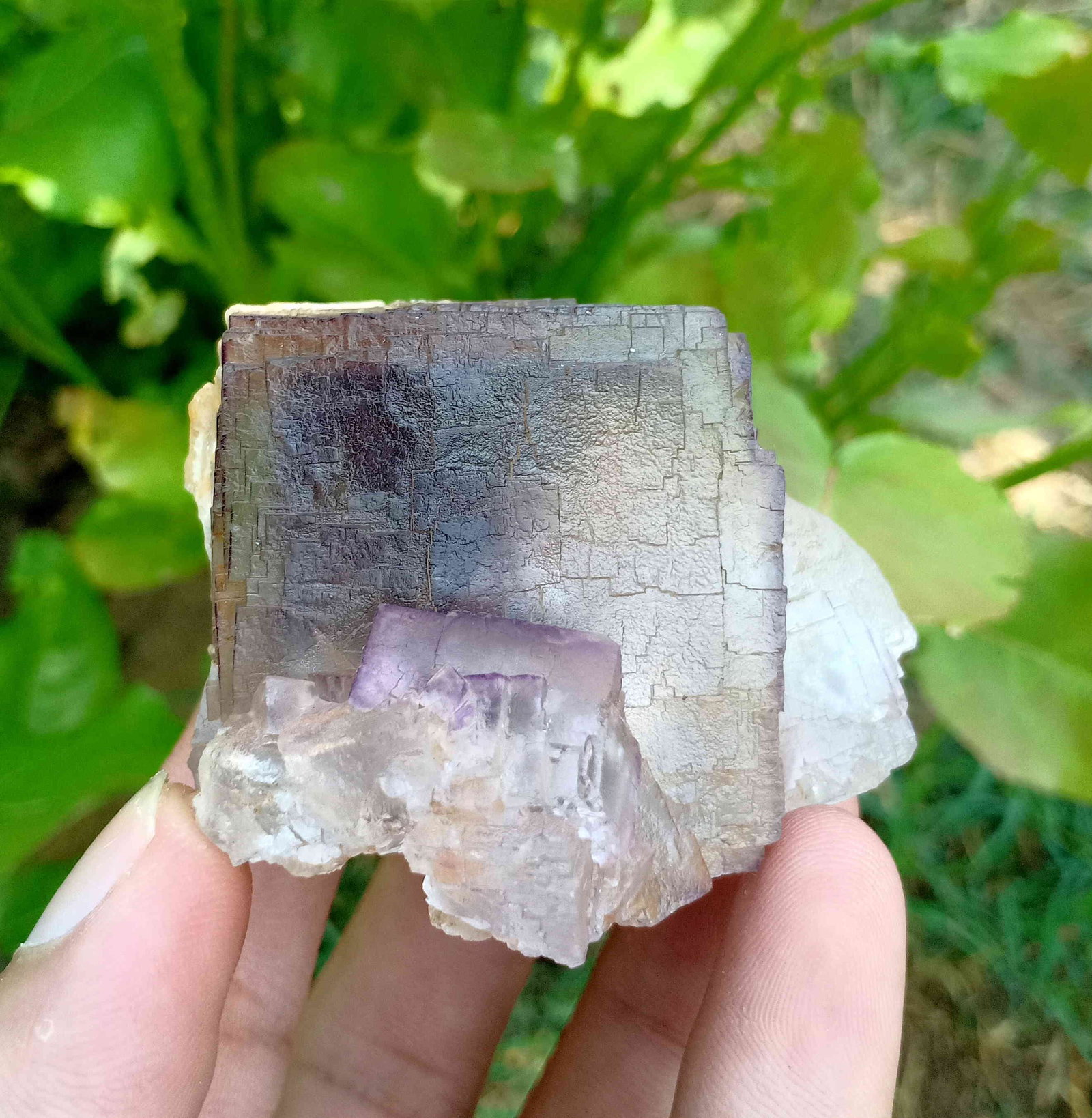 164 Gram Gorgeous & Perfact Natural Phantom Fluorite: Title: 164 Gram Gorgeous & Perfact Natural Phantom Fluorite Specimen Treatment: Natural Weight: 164 Gram Size/Dimensions: 60x56x40 mm Origin: Pakistan Reserve: $40.00 Shipping: Domestic: Flat-rate of 