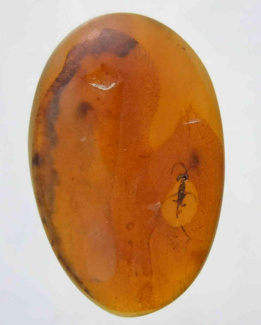 100 MILL YEARS OLD BURMITE AMBER WITH MOSQUITO & FLY: Title: 100 MILL YEARS OLD BURMITE AMBER WITH MOSQUITO & FLY Origin: Hukawang Valley, Kachin State, Myanmar Size: 2x1.3x0.3 cm / 0.54 gram Description: light brown burmite amber with mosquito and fly i