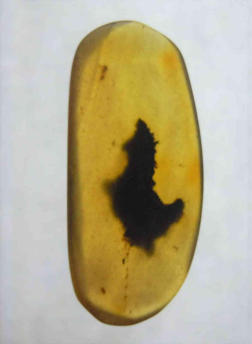 100 MILL YEARS OLD BURMITE AMBER WITH UNIDENTIFIED: Title: 100 MILL YEARS OLD BURMITE AMBER WITH UNIDENTIFIED INCLUSION Origin: Hukawang Valley, Kachin State, Myanmar Size: 2.3x1x0.3 cm / 0.48 gram Description: dark yellow, transparent burmite amber wi