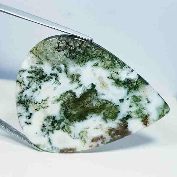 72.77 ct Natural Tree Jasper (1 of 5)