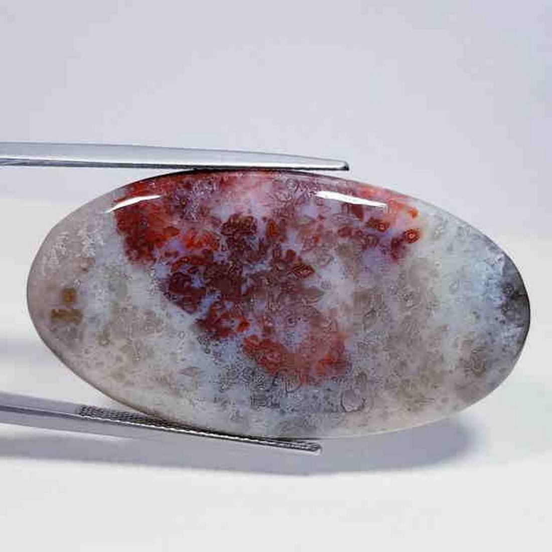 46.34 ct Natural Pink Opal (1 of 5)