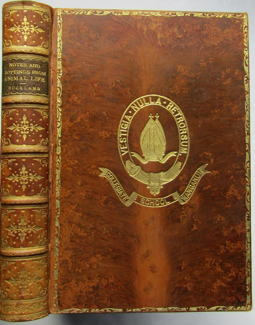 Notes and Jottings from Animal Life (1 of 4)