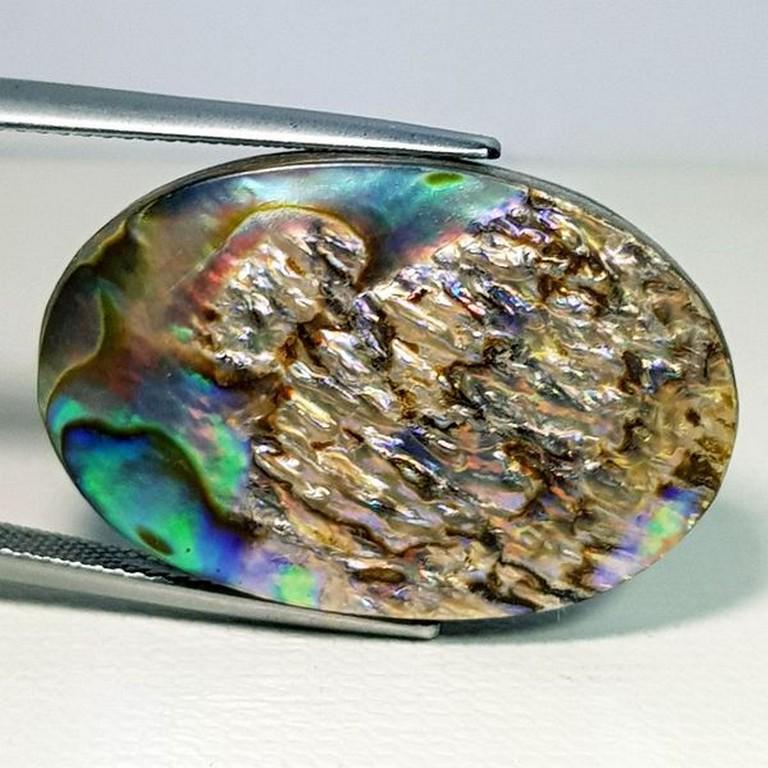 28.67 ct Australian Abalon (1 of 5)