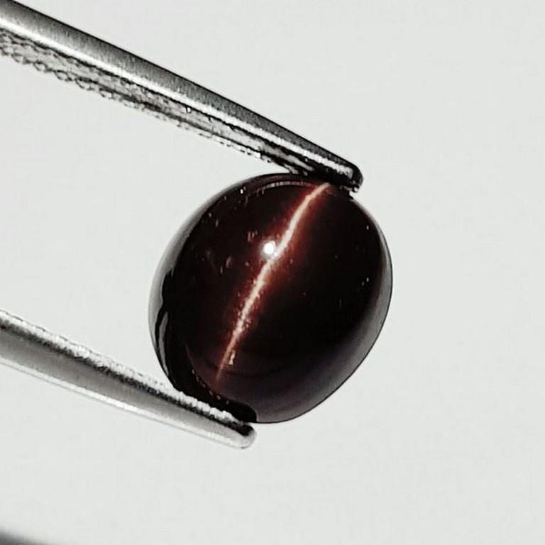 Natural kornerupine Cat's Eye 3.34 ct: No Reserve! Title: Natural kornerupine Cat's Eye 3.34 ct Color/Clarity: Opaque Carat Weight: 3.34 Dimensions: 8.70 x 8.60 x 5.50 Additional Information: Round - Africa Shipping: Domestic: Flat-rate