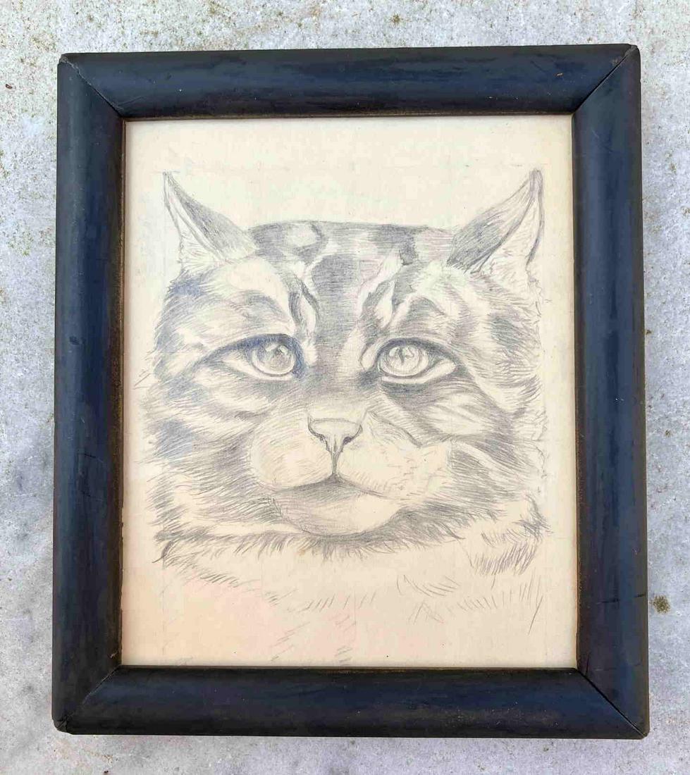 C1900 original tabby cat drawing (1 of 1)