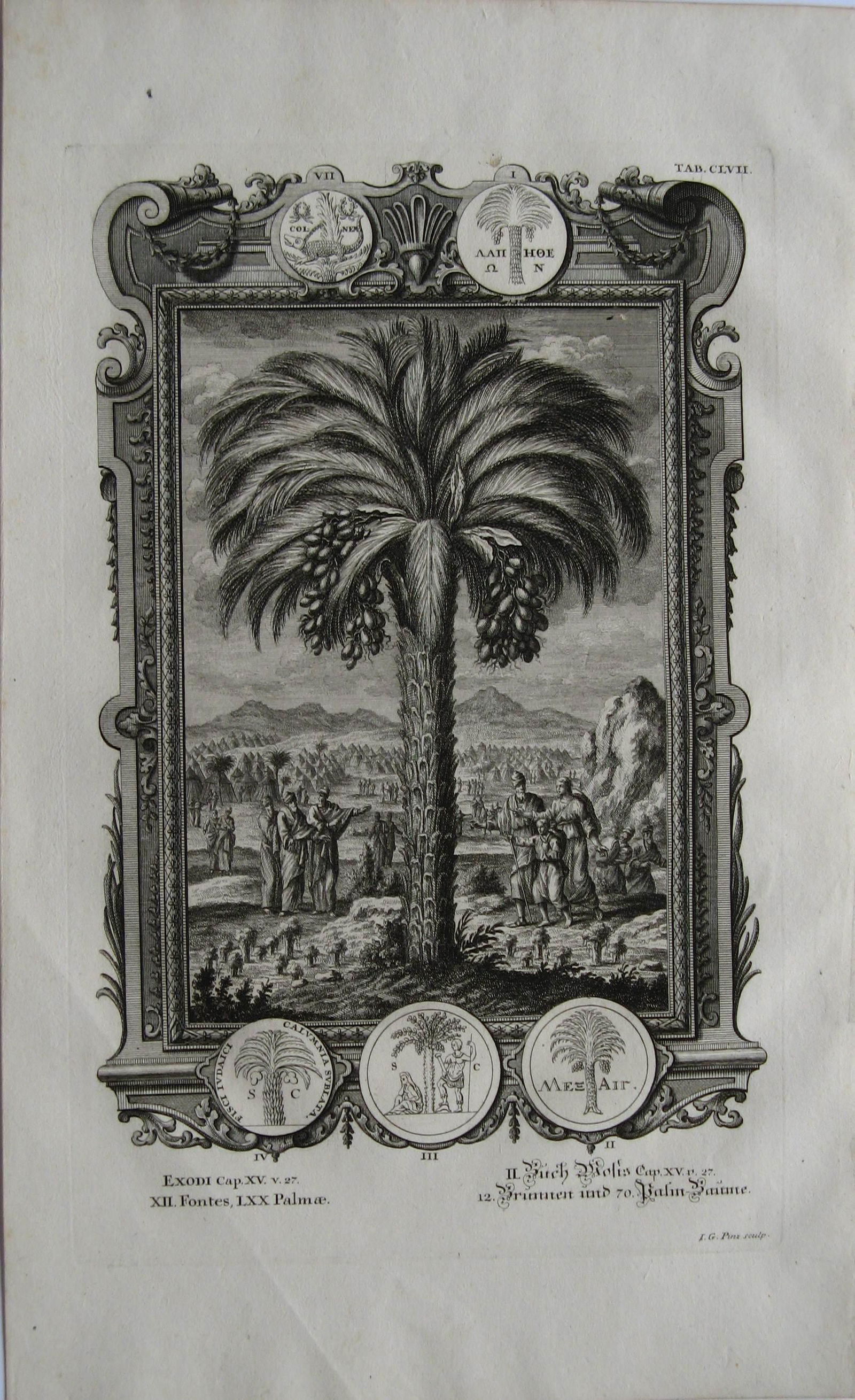 Palm Trees & Springs from"Physica Sacra"- Johann Jacob (1 of 1)