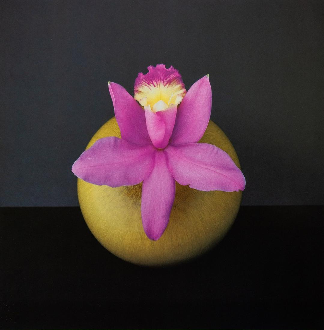ROBERT MAPPLETHORPE - Orchids, 1985: Artist: ROBERT MAPPLETHORPE Title: Orchids, 1985 Medium: Photo Litho, 1994, Italy Dimensions: 9.35x9.45" Description: Heat Wax Mounted on 11x14" Conservation Board Artist Bio: Robert Mapplethorpe was