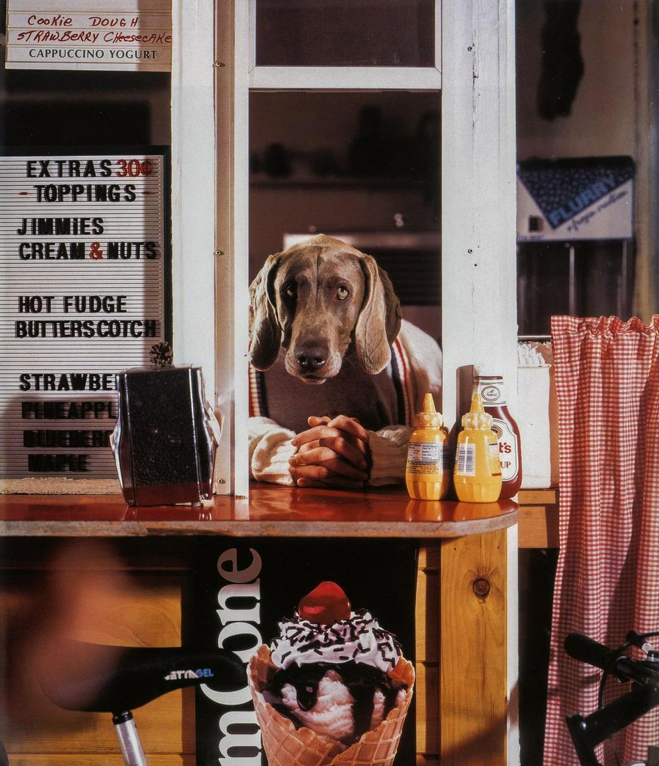 WILLIAM WEGMAN - Hot Fudge, 1994: Artist: WILLIAM WEGMAN Title: Hot Fudge, 1994 Medium: Photo Litho, 2002, Hong Kong Dimensions: 8.1x9.3" Description: Heat Wax Mounted on 11x14" Conservation Board Artist Bio: William Wegman (1943) is