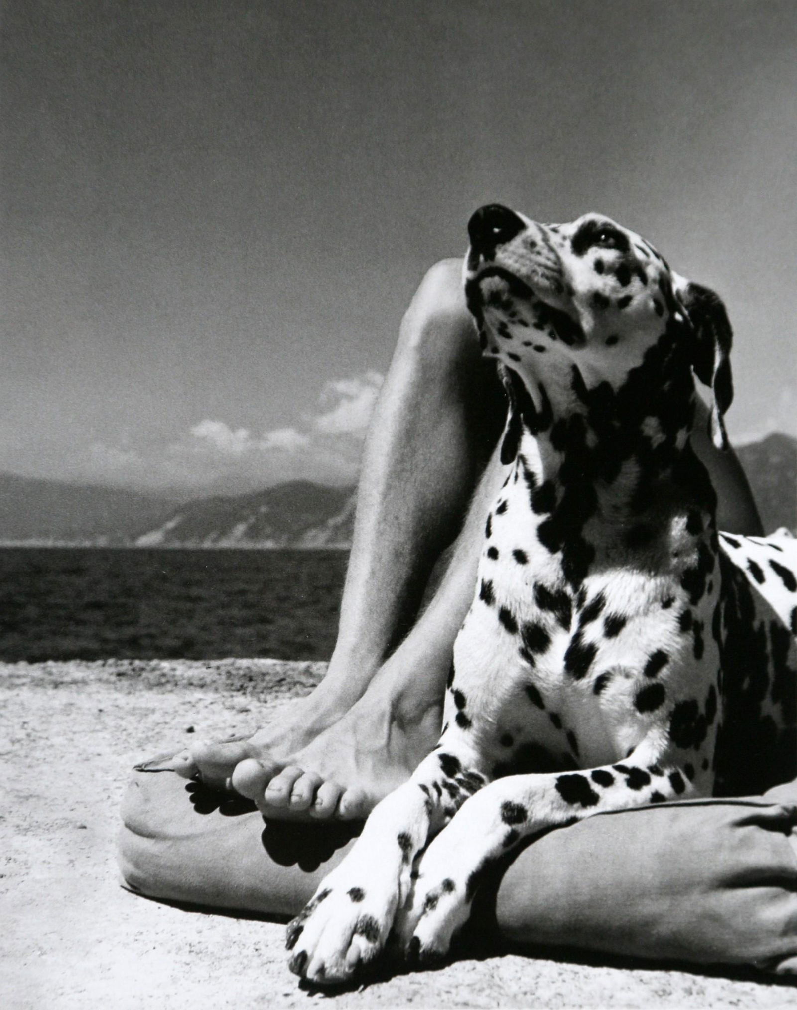 Portofino, 1936: Artist: Herbert List Title: Portofino, 1936 Date Printed: 2008 Medium: Photo Litho with Copyright Herbert List / Magnum Photos Printer Location: Italy Dimensions: 15x19 cm - 7.5x5.9 inch Additional In