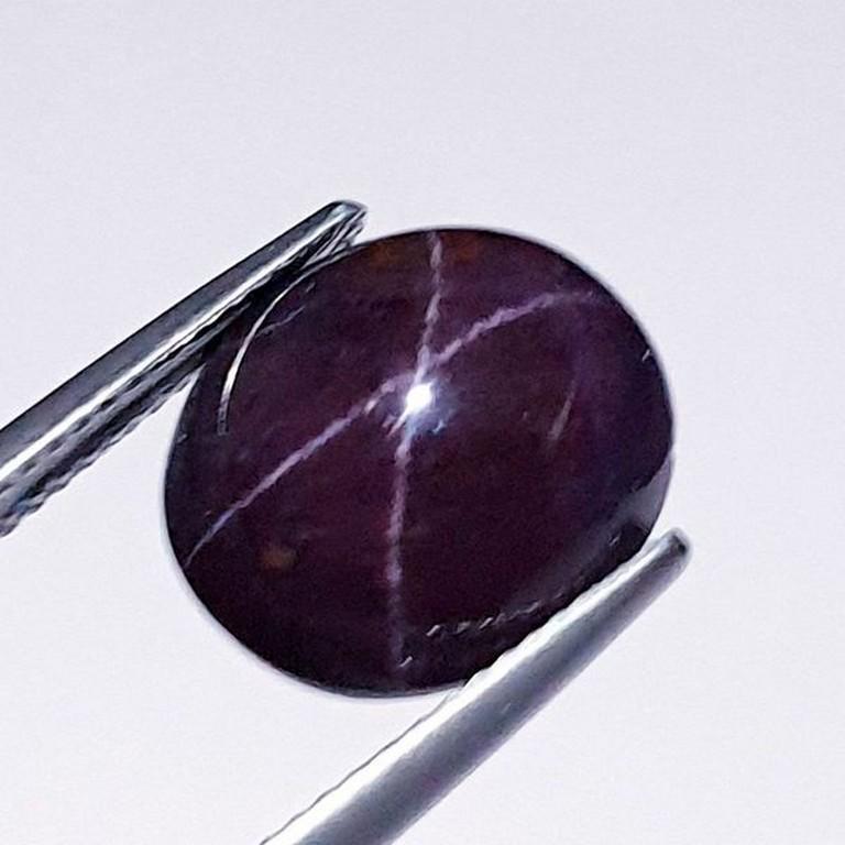 14.10 ct Natural Four Ray Star Garnet (1 of 3)