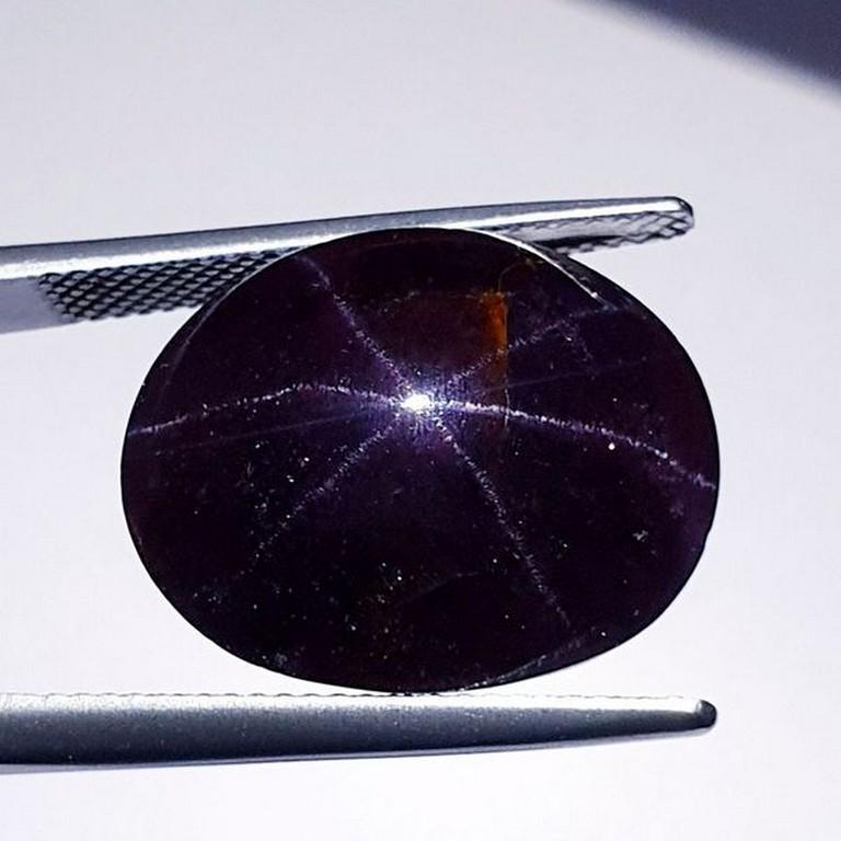 28.05 ct Natural Six Ray Star Garnet (1 of 4)