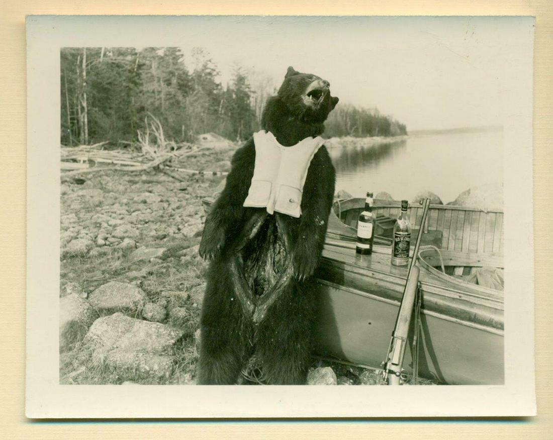 SNAPSHOT, RIGOR MORTIS BLACK BEAR in LIFE VEST STANDING: SNAPSHOT, RIGOR MORTIS BLACK BEAR in LIFE VEST STANDING at CANOE w GUN & LIQUOR SNAPSHOT, RIGOR MORTIS BLACK BEAR in LIFE VEST STANDING at CANOE w GUN & LIQUOR VINTAGE MID-20TH CENTURY SNAPSHOT PHOTOG