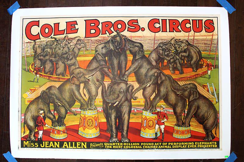 Cole Bros. Circus - Miss Jean Allen and Elephants - (1 of 3)