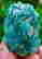 item-93625460=4