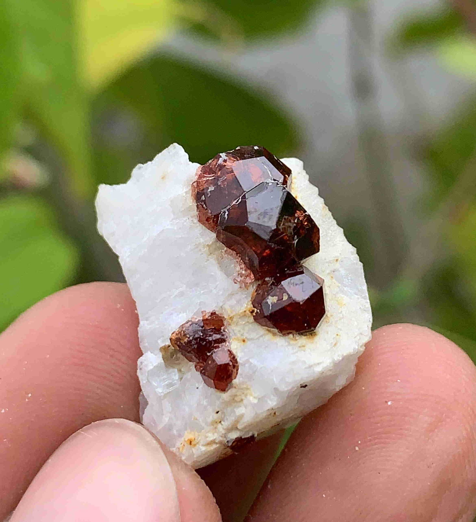 7 Gram Well Terminated Natural Spessartine Granet On: Title: 7 Gram Well Terminated Natural Spessartine Granet On Feldspar Specimen Treatment: Natural Weight: 7 Gram Size/Dimensions: 20x17x11 mm Origin: Pakistan Reserve: $20.00 Shipping: Domestic: Flat-r