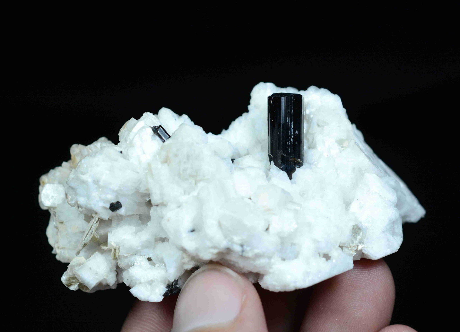 64 Gram Superb Termination Natural Tourmaline With: Title:64 Gram Superb Termination Natural Tourmaline With Feldspar Specimen Weight: 64 Gram Size/Dimensions: 67x36x32 mm Origin: Pakistan Reserve: $20.00 Shipping: Domestic: Flat-rate of $18.00 to anyw