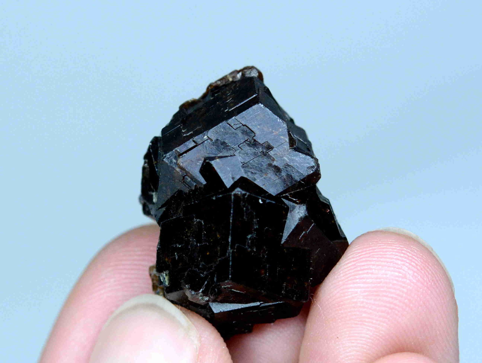 11 Gram Natural Terminated Granet Specimen: Title:11 Gram Natural Terminated Granet Specimen Weight: 11 Gram Size/Dimensions: 25x20x14 mm Origin: Pakistan Reserve: $15.00 Shipping: Domestic: Flat-rate of $18.00 to anywhere within the contiguous