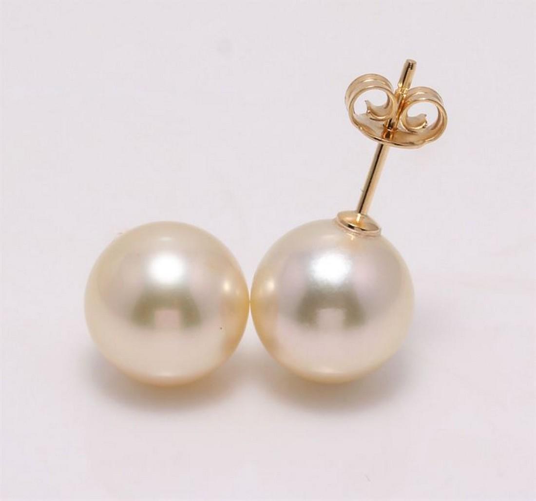 18 kt. Yellow Gold - 9x10mm Golden South Sea Pearls -: Title: 18 kt. Yellow Gold - 9x10mm Golden South Sea Pearls - Earrings Additional Information: Produced by the gold-lipped Pinctada Maxima oyster in the warm oceans of Indonesia, these pearls have a na