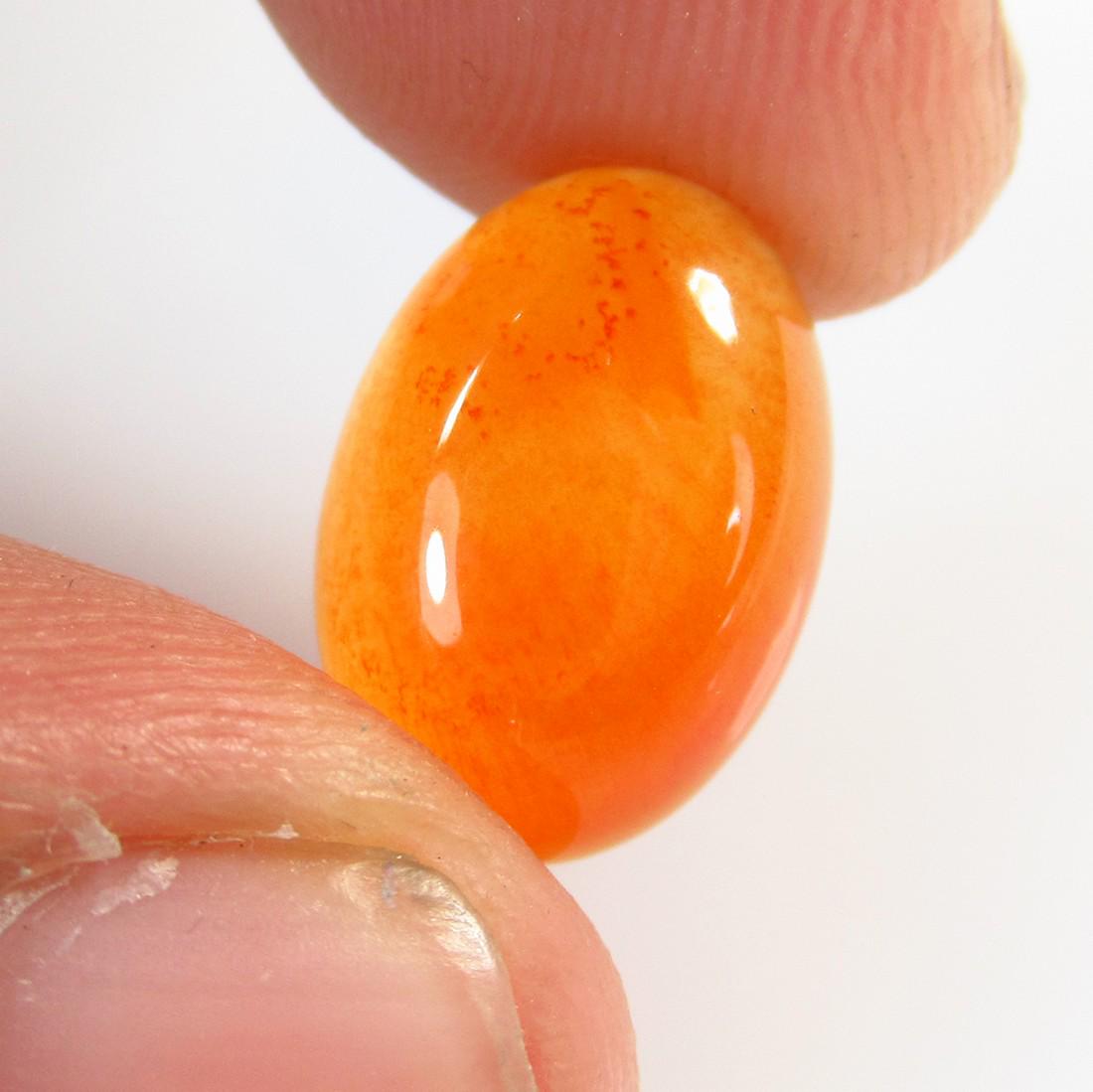 5.04 Ct Natural Orange Carnelian Oval Cab: No Reserve! Title: 5.04 Ct Natural Orange Carnelian Oval Cab Stone Clarity: Semi-Transparent Gemstones: Natural Carnelian Carat Weights: 5.04 Size/Dimensions: 13.80 x 9.70 x 5.00 mm Additional Informa