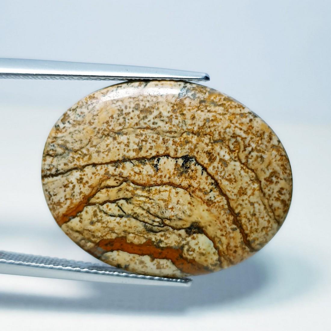 13.25 ct Natural Picture Jasper: No Reserve! Title: 13.25 ct Natural Picture Jasper Color/Clarity: Opaque Gemstones: Gemstones Carat Weights: 13.25 Size/Dimensions: 25.50 x 20.10 x 3.50 Additional Information: Oval - Brazil Shipping: