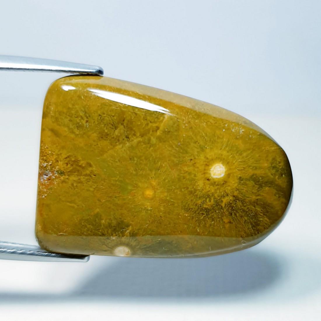 23.40 ct Natural Ocean Jasper: No Reserve! Title: 23.40 ct Natural Ocean Jasper Color/Clarity: Opaque Gemstones: Gemstones Carat Weights: 23.4 Size/Dimensions: 26.40 x 18.70 x 5.10 Additional Information: Fancy - Brazil Shipping: