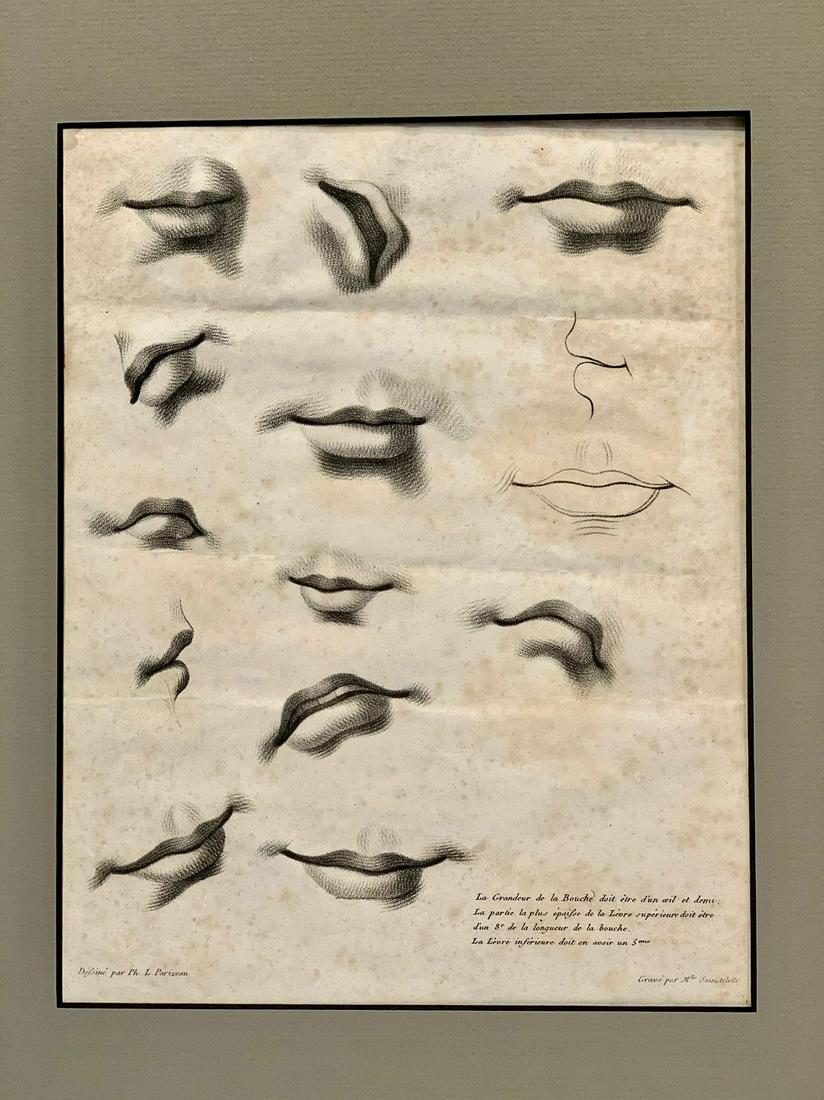 19th c Artist’s Studies Anatomical Engraving: Mouths (1 of 7)