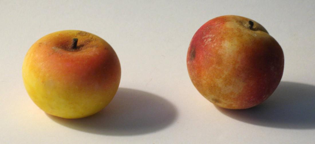 Vintage miniature stone fruit. (1 of 1)