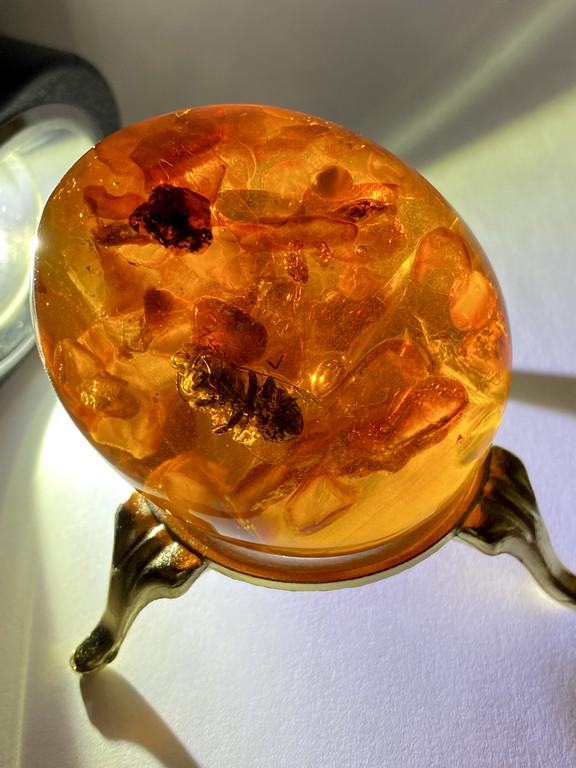 Magnificent Amber Egg on a pedestal with insect (1 of 10)