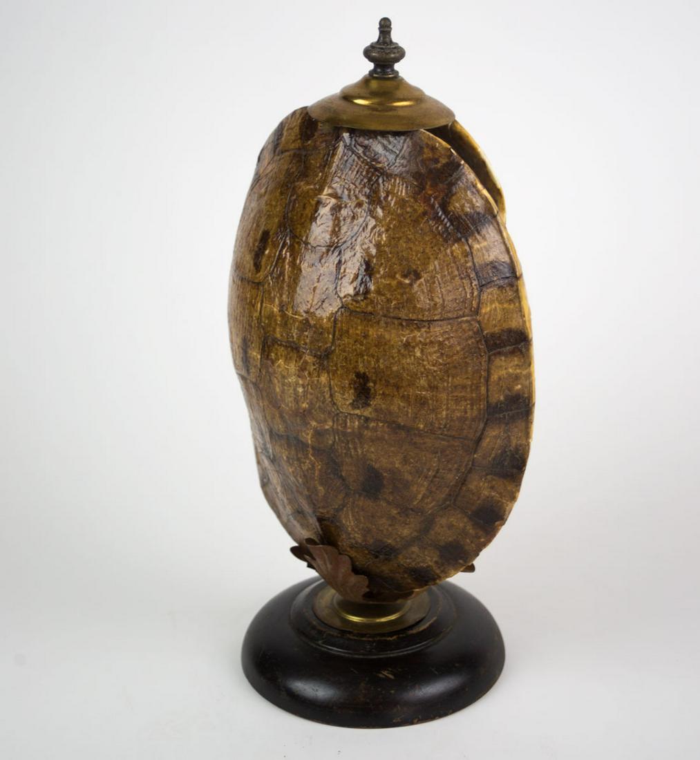 Turtle Tortoise Antique Mount In The Manner Of Ã‰mile (1 of 5)