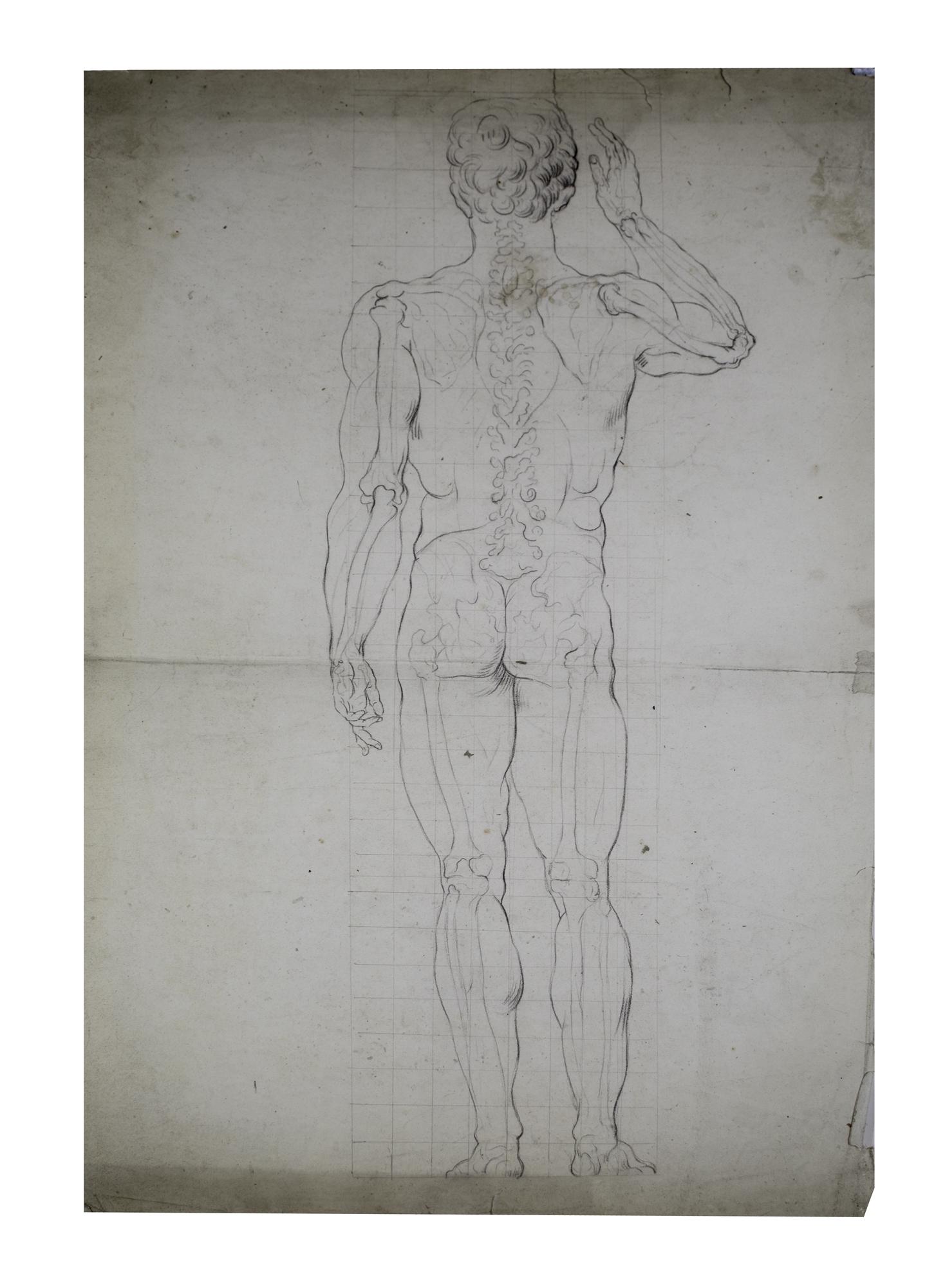 French Antique Anatomy Drawing 19th On Vellum Paper: 1800s drawing of anatomy , black pencil on vellum paper size 17 x 12 , good antique condition . Reserve: $35.00 Shipping: Domestic: Flat-rate of $20.00 to anywhere within the contiguous U.S. Internati