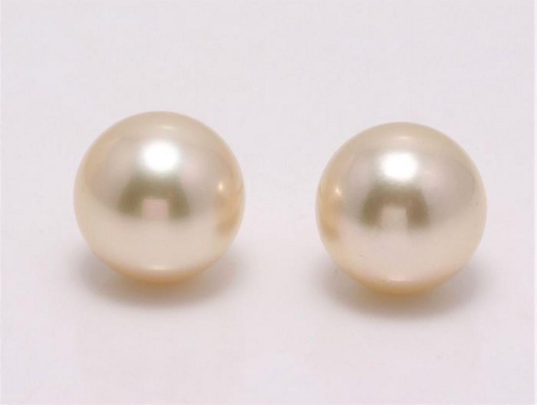 18 kt. Yellow Gold - 9x10mm Golden South Sea Pearls -: Description: Produced by the gold-lipped Pinctada Maxima oyster in the warm oceans of Indonesia, these pearls have a natural magnificent champagne golden colour. The pearls are round and clean with a 