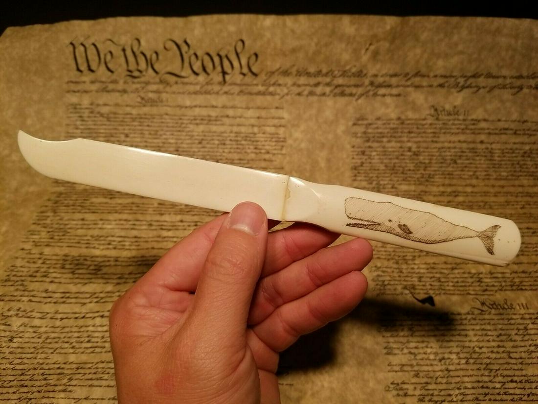 Whale Scrimshaw letter opener: 9" x 7/8" Wonderful bovine bone letter opener with a whale design carved on the handle. About the Items: The item in the images is just a model. Each item is inspected before shipping and we do our be