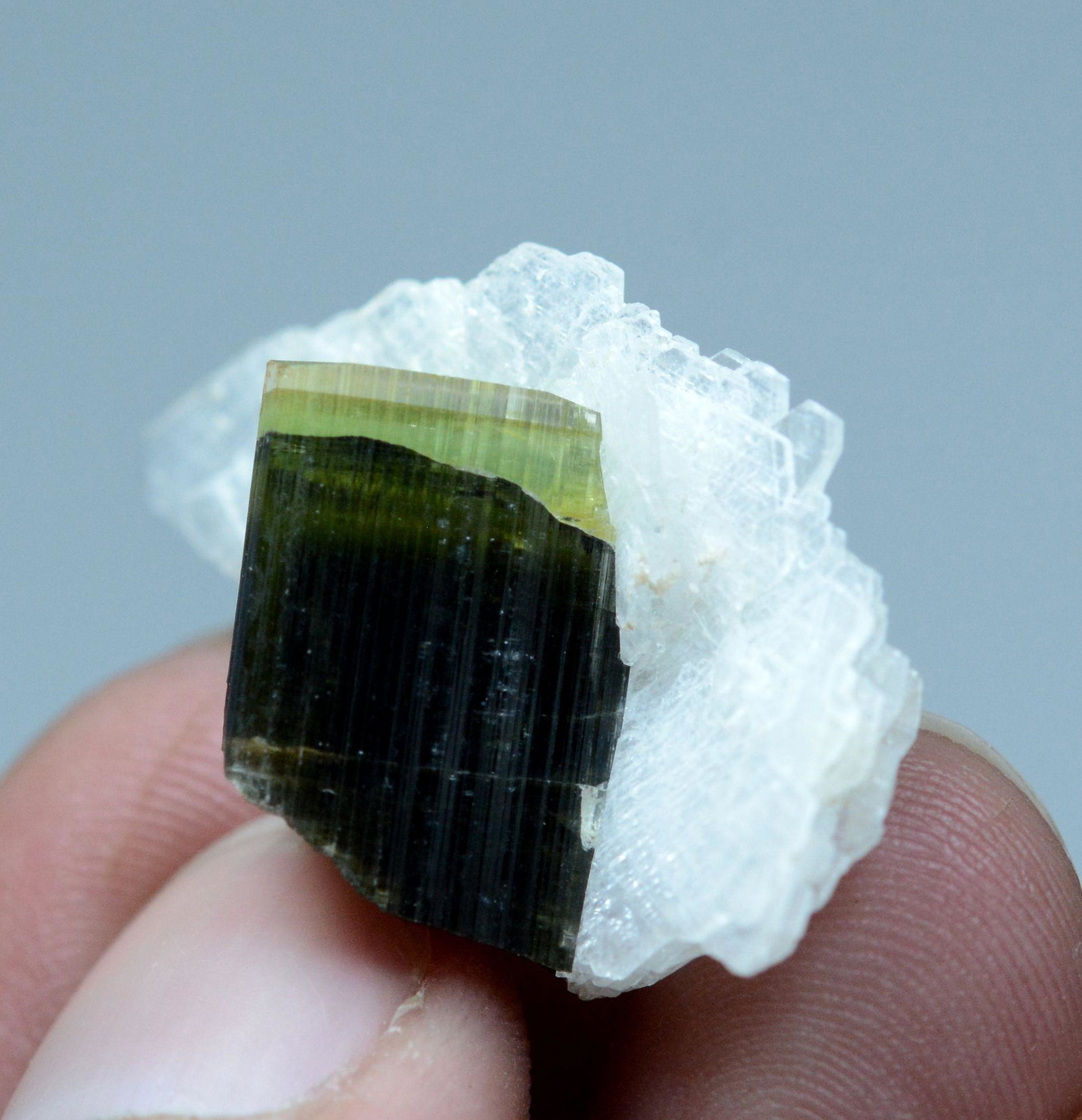7 Gram Well Terminated Natural Tourmaline With Albite: Title:7 Gram Well Terminated Natural Tourmaline With Albite Specimen Weight: 7 Gram Size/Dimensions: 33x25x20 mm Origin: Pakistan Reserve: $30.00 Shipping: Domestic: Flat-rate of $15.00 to anywhere wi