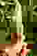 item-94522212=3