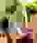 item-94522446=2