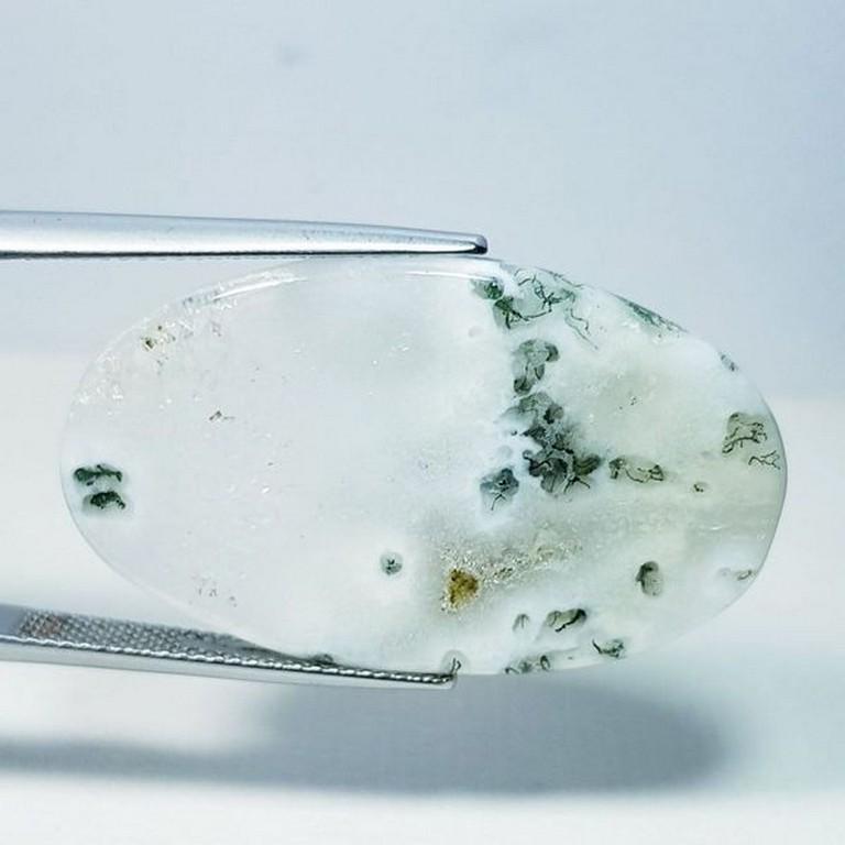 33.81 ct Natural Tree Jasper (1 of 5)