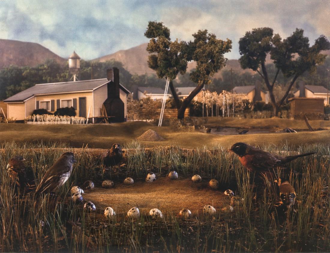 GREGORY CREWDSON - Untitled (Natural Wonder) Egg Circle (1 of 1)