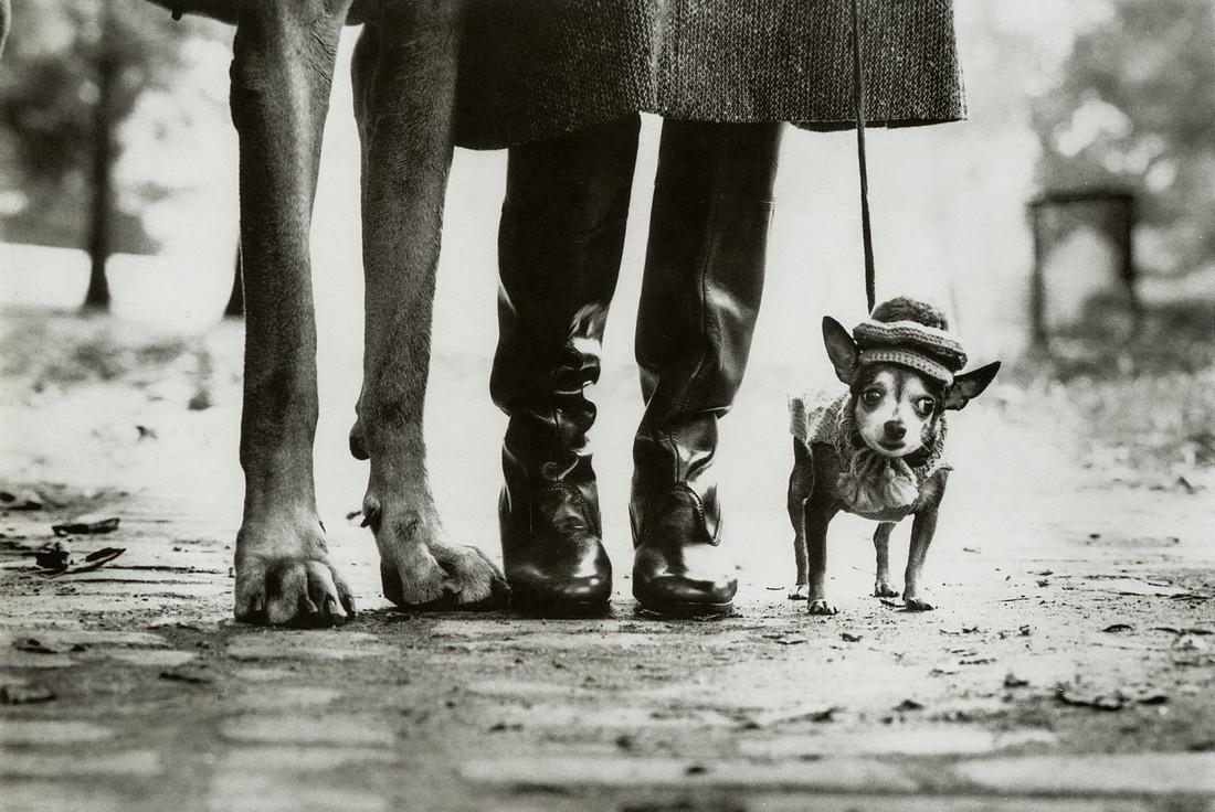 ELLIOTT ERWITT - New York City, 1974 (1 of 1)