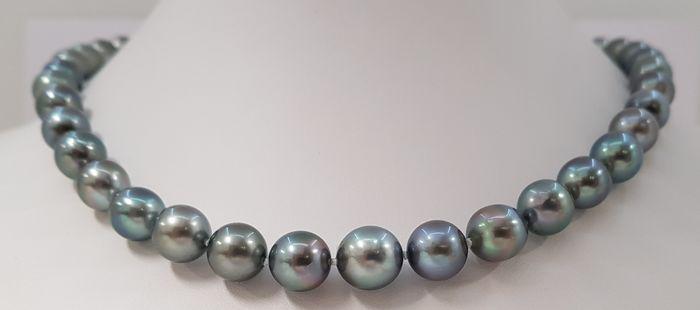 8x11mm Pauw Tahitiaanse parels - Ketting: Description: Tahitian pearls are cultured in the warm ocean waters of the eastern South Pacific, mainly in the archipelagos of French Polynesia. The saltwater pearls that have been selected for this n