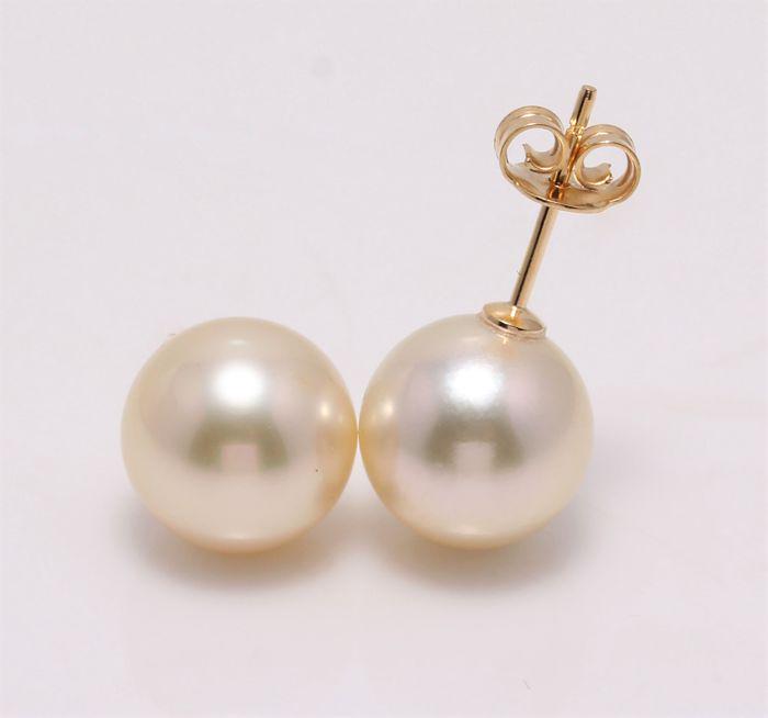 18 kt. Yellow Gold - 9x10mm Golden South Sea Pearls -: Description: Produced by the gold-lipped Pinctada Maxima oyster in the warm oceans of Indonesia, these pearls have a natural magnificent champagne golden colour. The pearls are round and clean with a 
