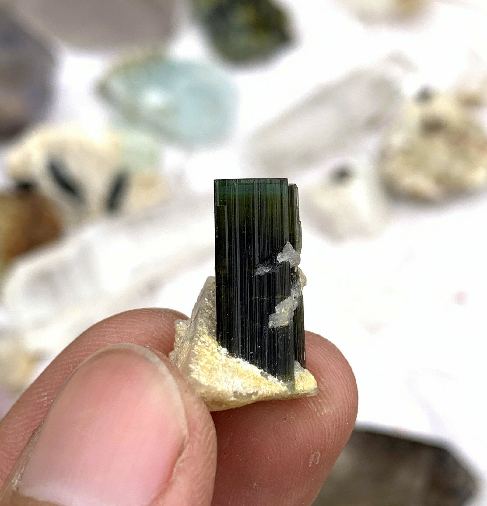 4 Gram Stunning Natural Green Cap Tourmaline Specimen: No Reserve! Title: 4 Gram Stunning Natural Green Cap Tourmaline Specimen Treatment: Natural Weight: 4 Gram Size/Dimensions: 20x13x13 mm Origin: Pakistan Shipping: Domestic: Flat-rate of $15.00 to anyw